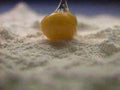 gooseberry flour closeup1980s 1990s A4 Photo Print