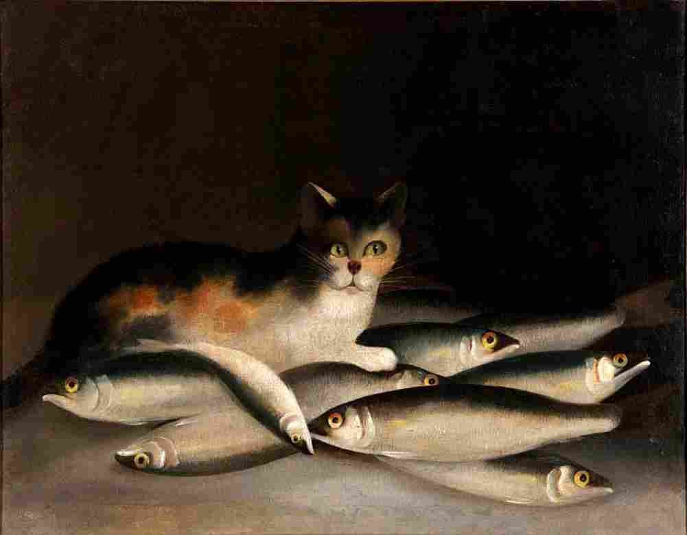 gould Cat and Fish Art A4 Photo Print