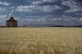 grain silo landscape 1980s 1990s A4 Photo Print