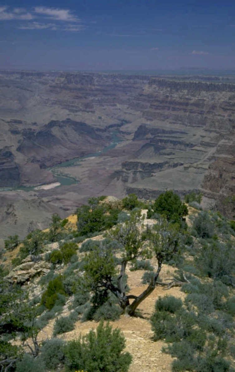 grand canyon vista 3 1980s 1990s A4 Photo Print