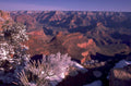 grand canyon winter 2 1980s 1990s A4 Photo Print 43