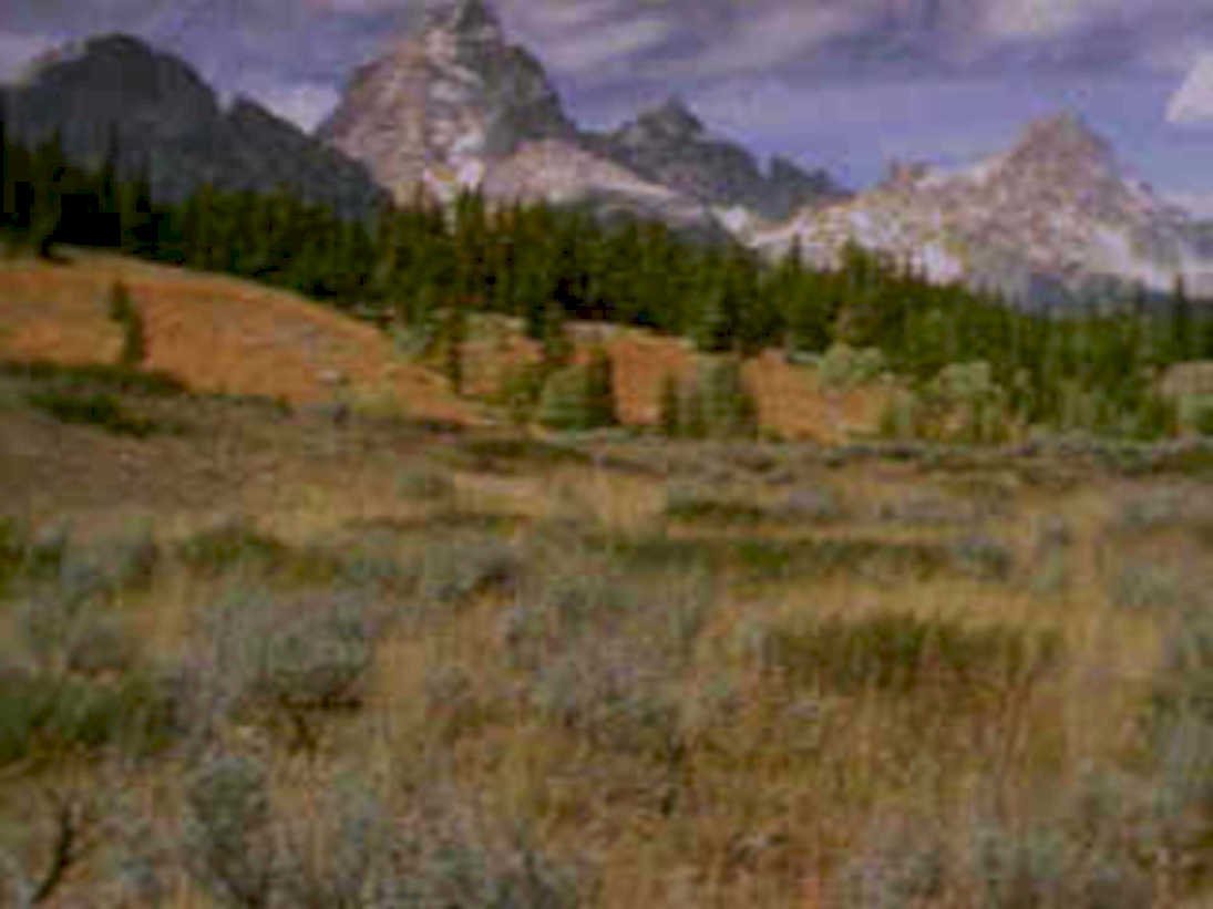 grand teton autumn1980s 1990s A4 Photo Print