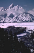 grand teton snowscape Vintage A4 Photo Print
