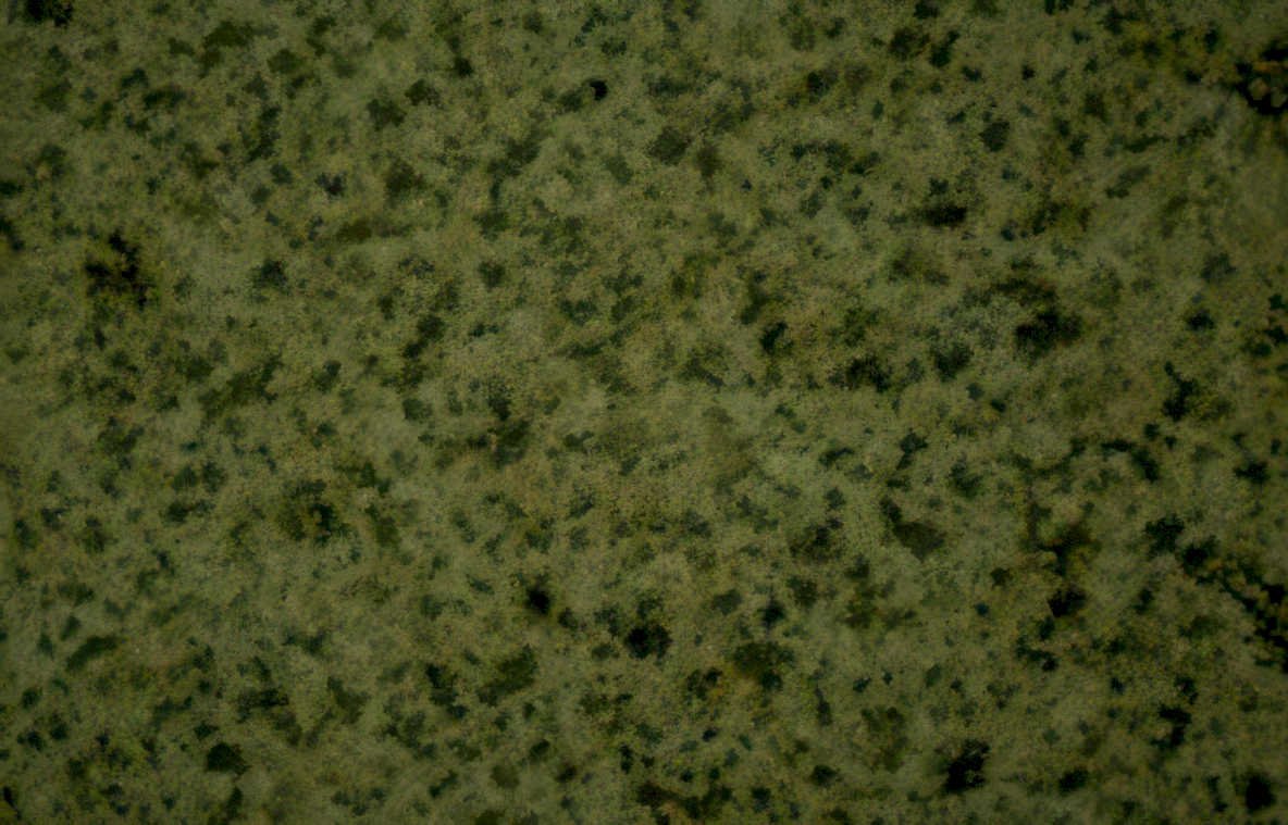 granite countertop texture 3 Vintage A4 Photo Print