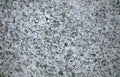 granite gris speckled Vintage A4 Photo Print