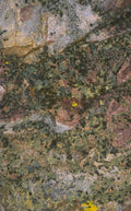 granite lichen rock 1980s 1990s A4 Photo Print