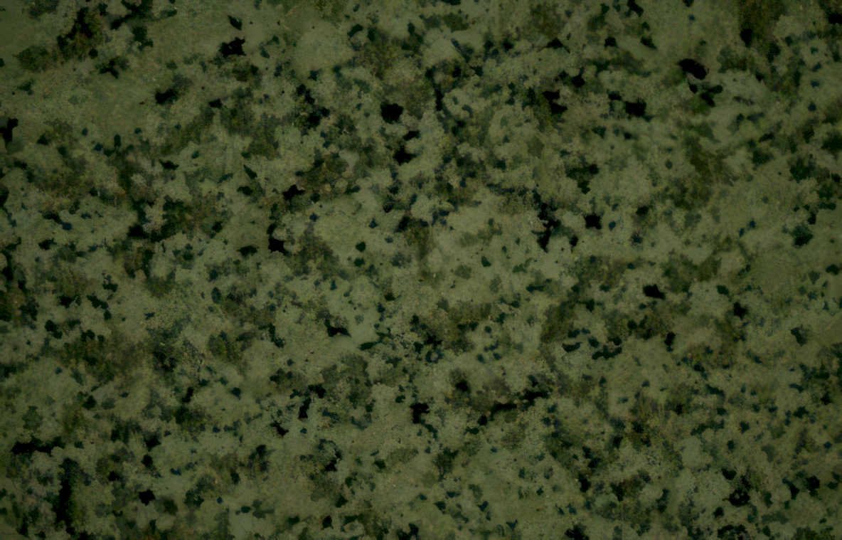 granite olive quartz Vintage A4 Photo Print