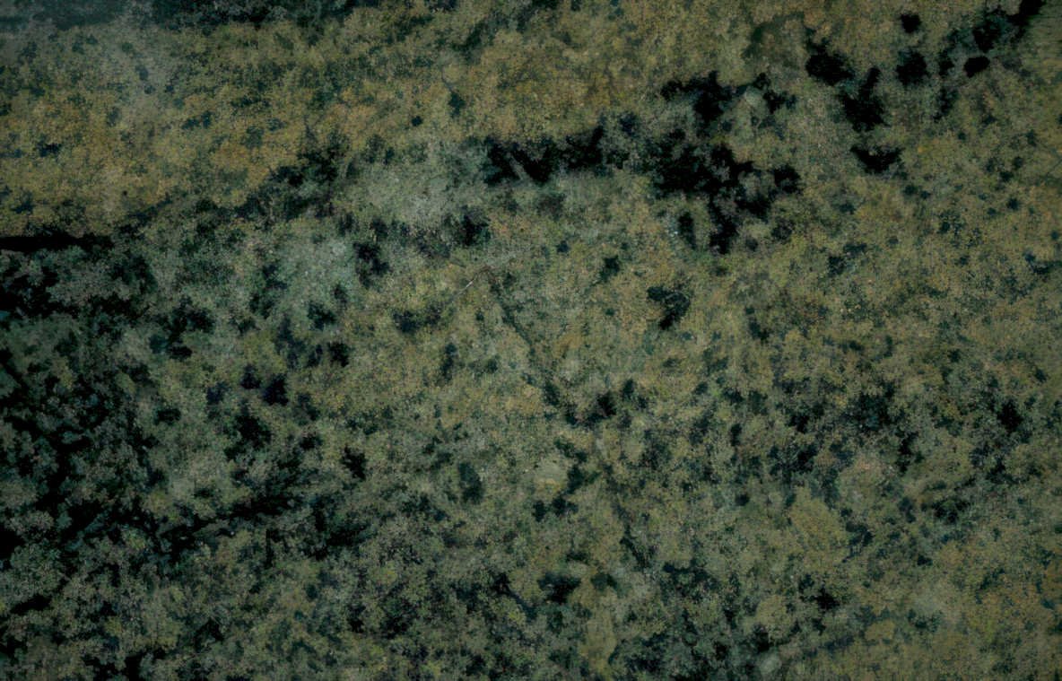 granite slab dark Vintage A4 Photo Print