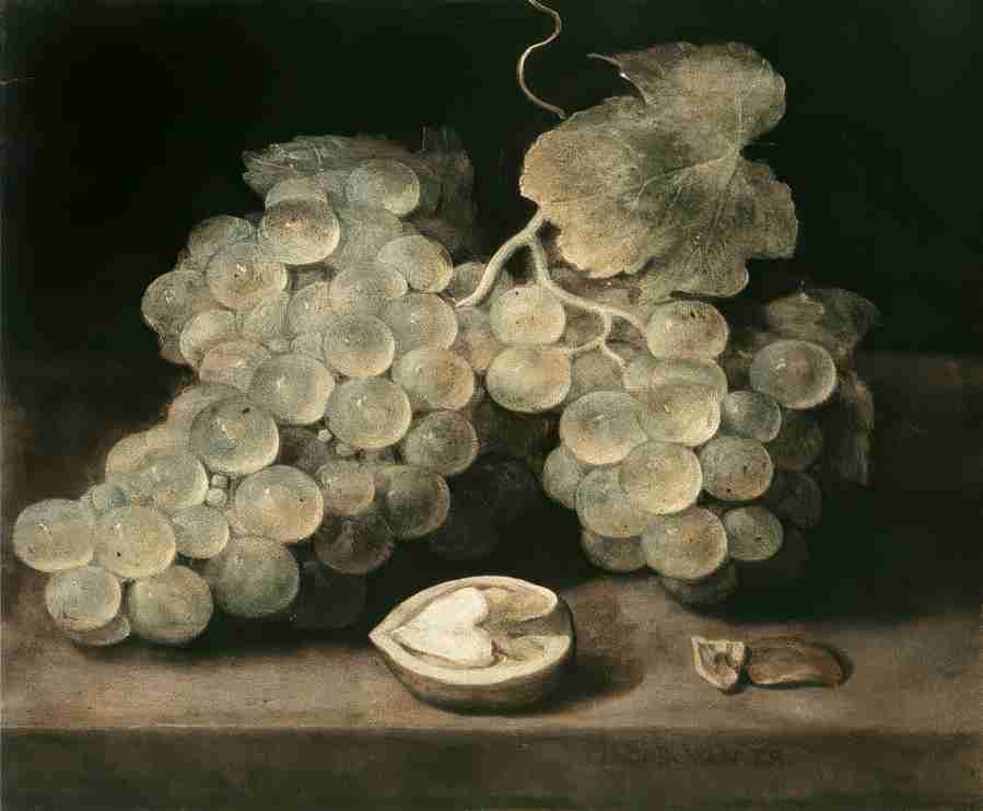 grapewal Art A4 Photo Print