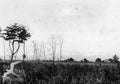 grass mountains birds Vintage world war A4 Photo Print