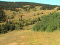 grassy hills autumn1980s 1990s A4 Photo Print