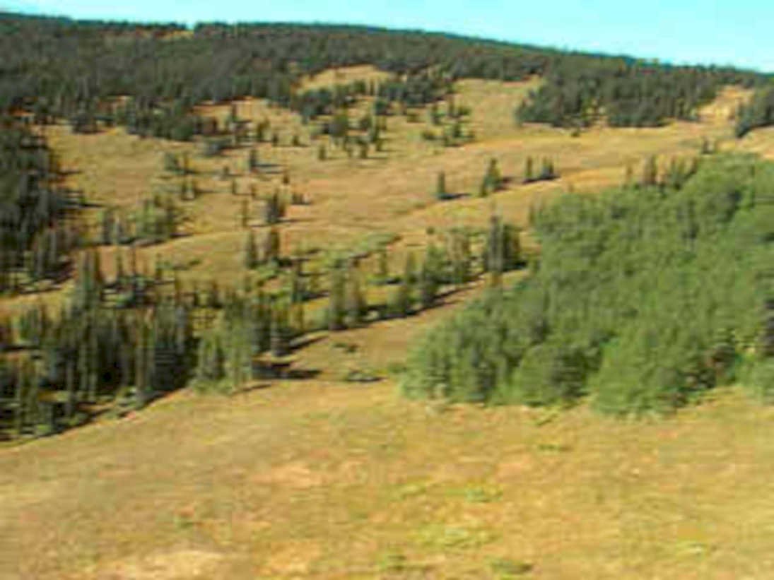 grassy hills autumn1980s 1990s A4 Photo Print