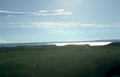 grassy lake field Vintage A4 Photo Print
