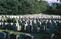 gravesite newengland cemetery Vintage A4 Photo Print