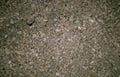 gray sand seashells Vintage A4 Photo Print