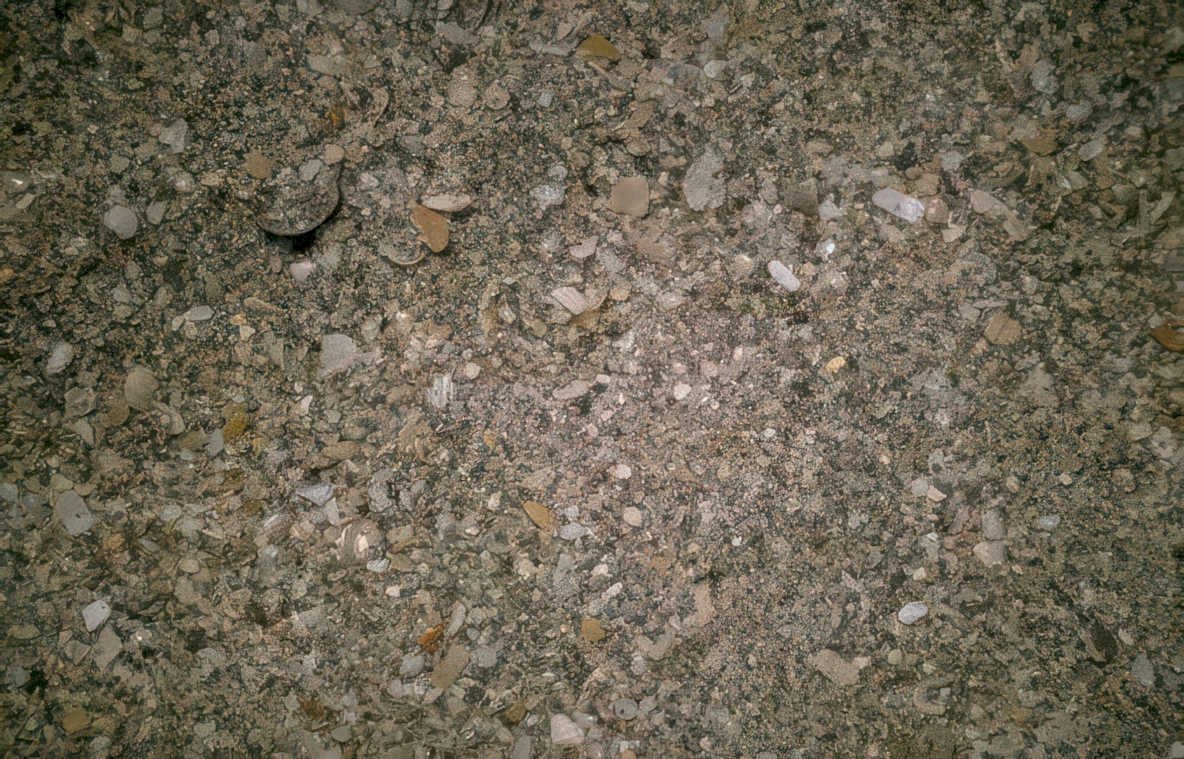 gray sand seashells Vintage A4 Photo Print