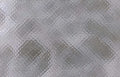 gray snake leather Vintage A4 Photo Print