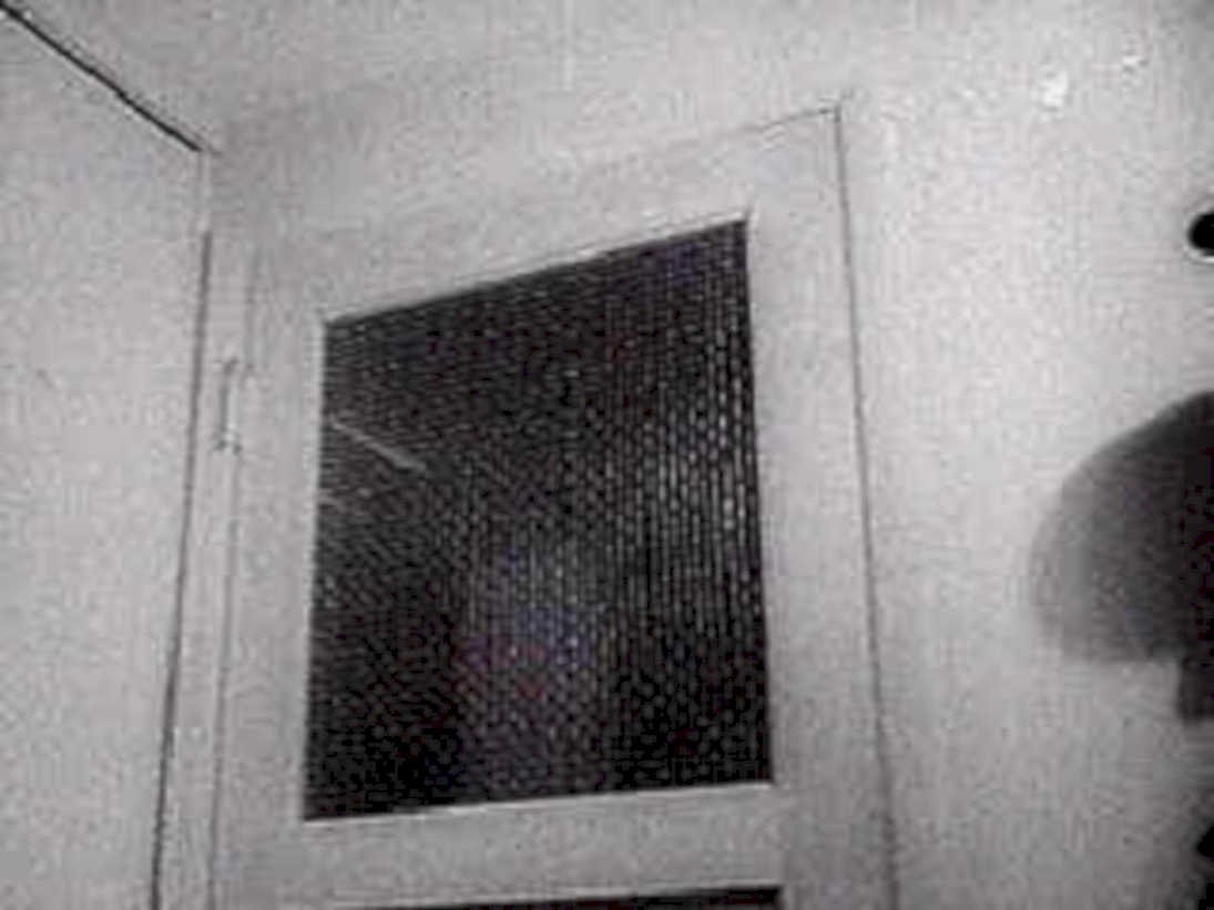 gray window figure1980s 1990s A4 Photo Print
