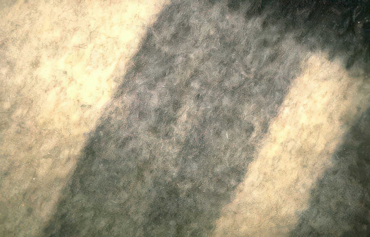 gray wool sweater Vintage A4 Photo Print