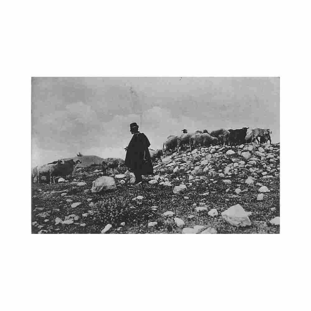 greece greek costumes sheeperd ipact 3861 Vintage A4 Photo Print