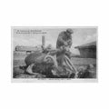 greece salonica farrier and a buffalo papeterie parisienne 20 Vintage A4 Photo Print