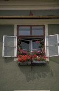 green building facade 1980s 1990s A4 Photo Print