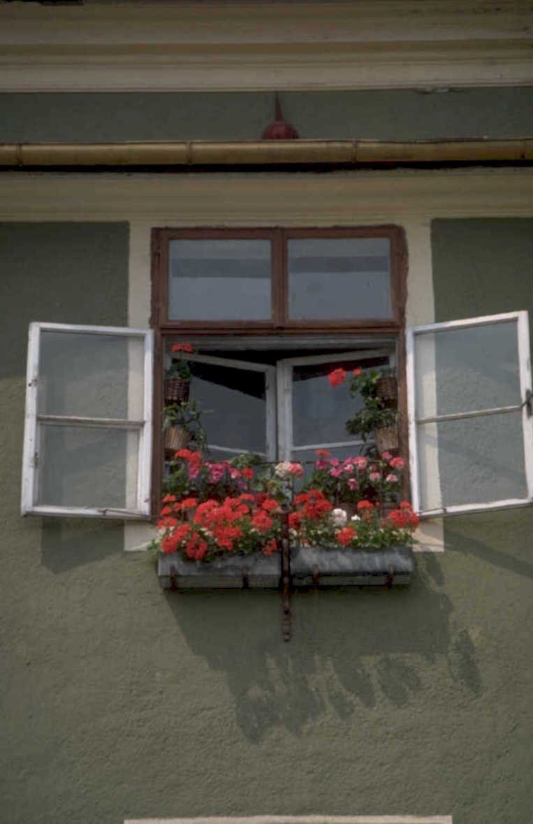 green building facade 1980s 1990s A4 Photo Print