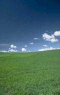 green field farm 1980s 1990s A4 Photo Print