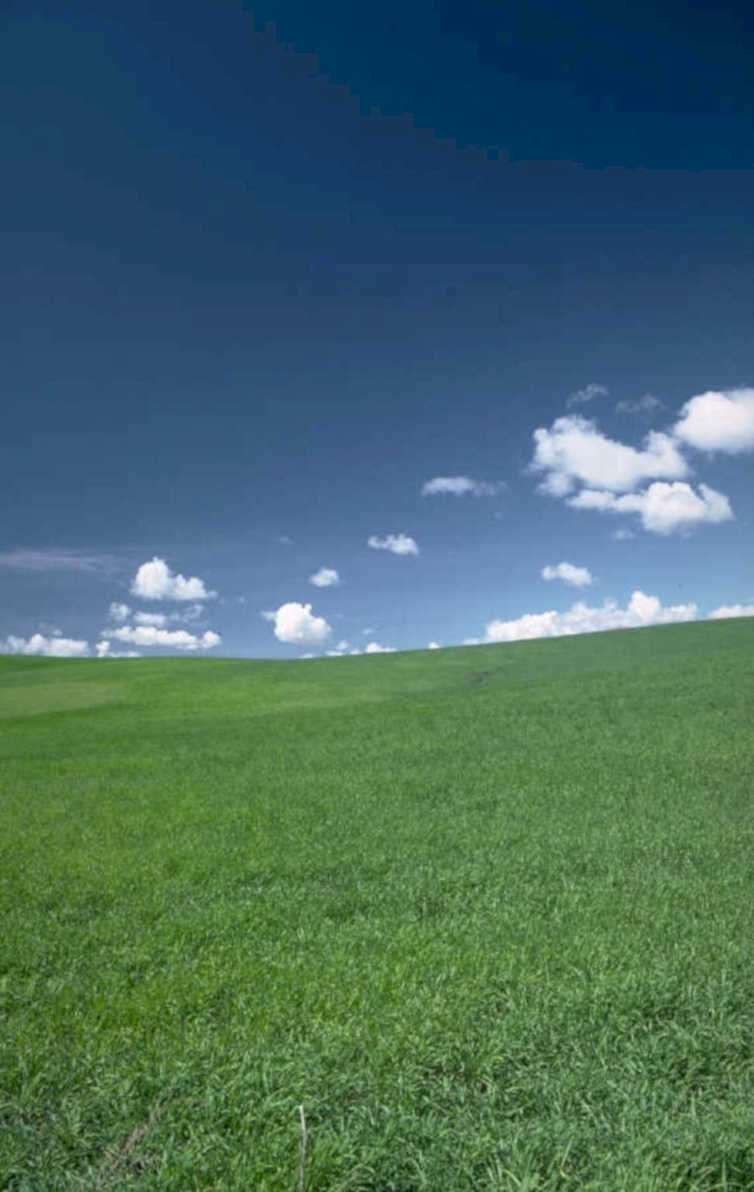 green field farm 1980s 1990s A4 Photo Print