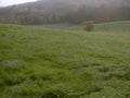green hills autumn1980s 1990s A4 Photo Print