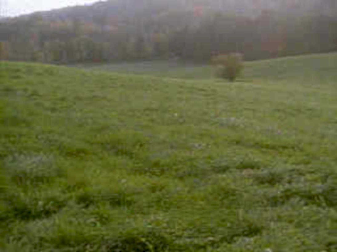 green hills autumn1980s 1990s A4 Photo Print