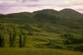 green hills nz 1980s 1990s A4 Photo Print