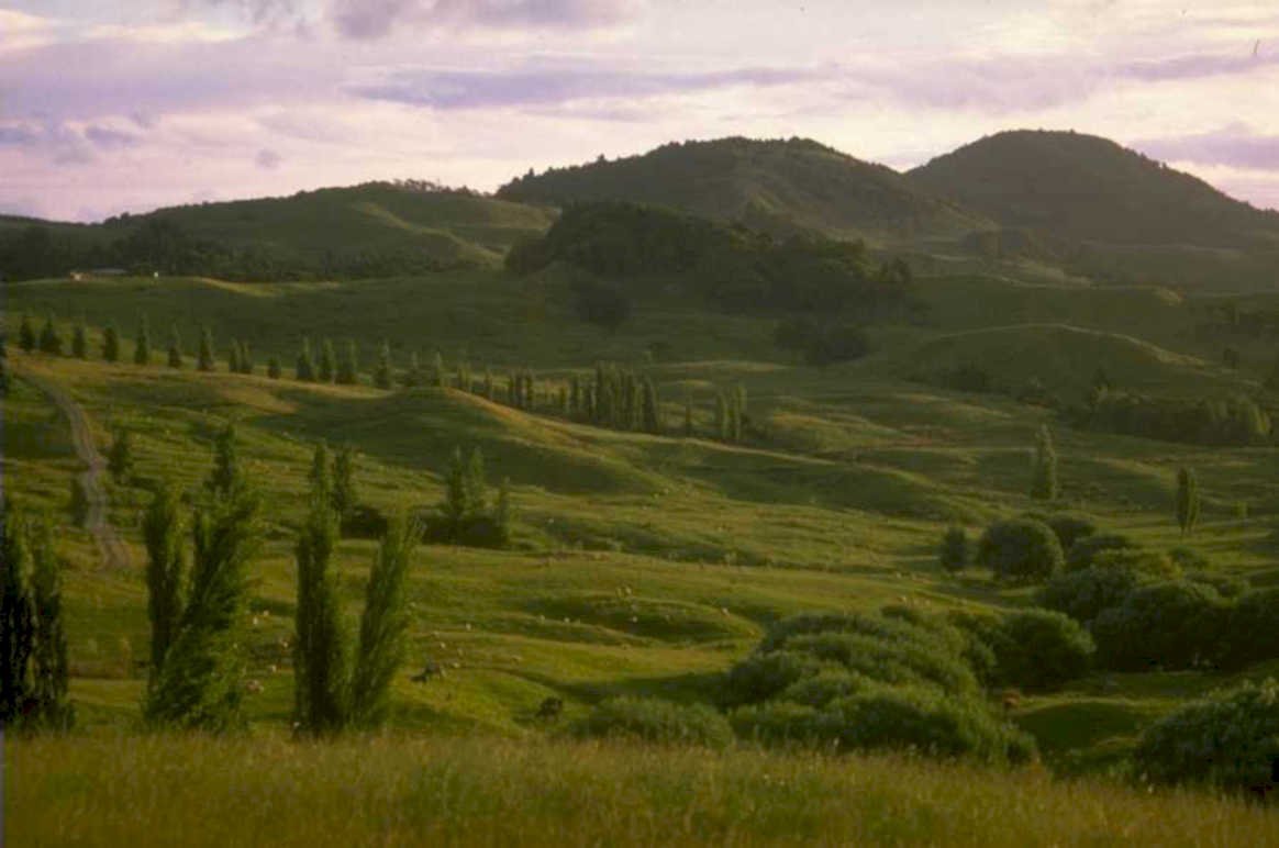 green hills nz 1980s 1990s A4 Photo Print