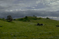 green hills valley 1980s 1990s A4 Photo Print 42