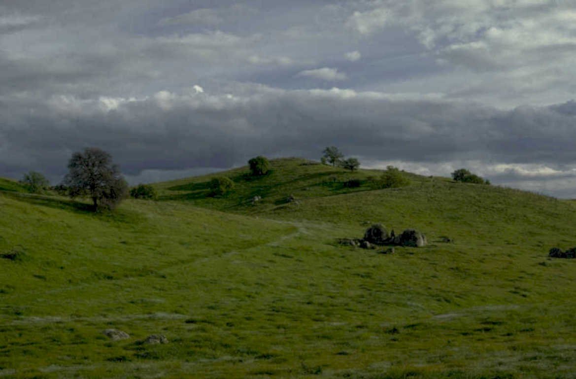 green hills valley 1980s 1990s A4 Photo Print 42