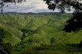 green hills valley 1980s 1990s A4 Photo Print