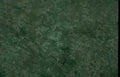 green marble veining Vintage A4 Photo Print