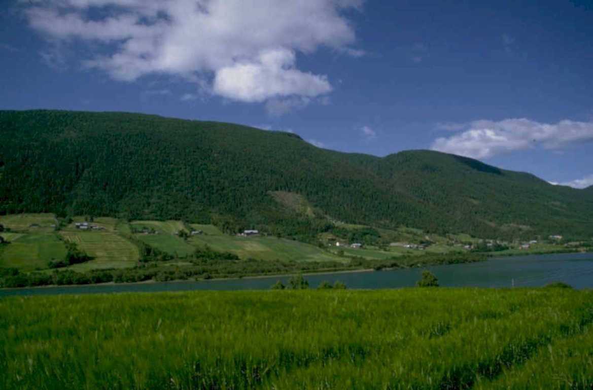 green meadow lake 1980s 1990s A4 Photo Print