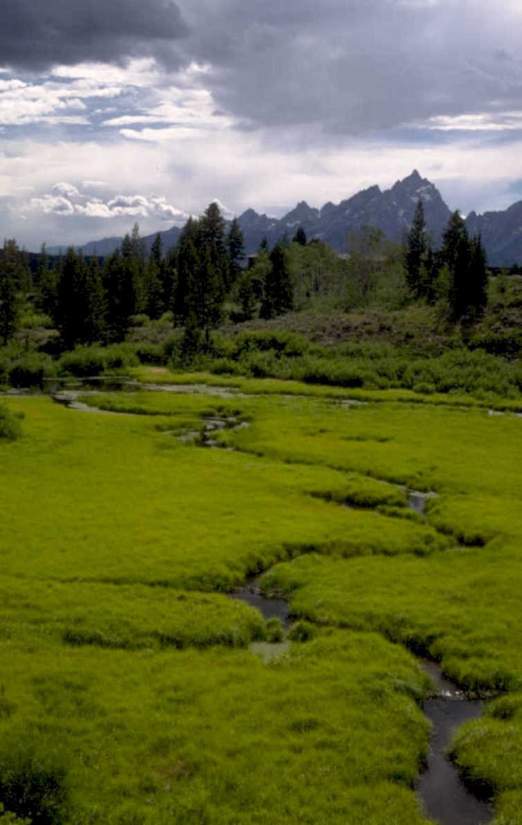 green meadow mountains 1980s 1990s A4 Photo Print