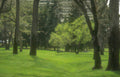 green park scene Vintage A4 Photo Print