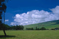 green pasture clouds 1980s 1990s A4 Photo Print