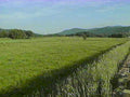 green pasture mountains1980s 1990s A4 Photo Print