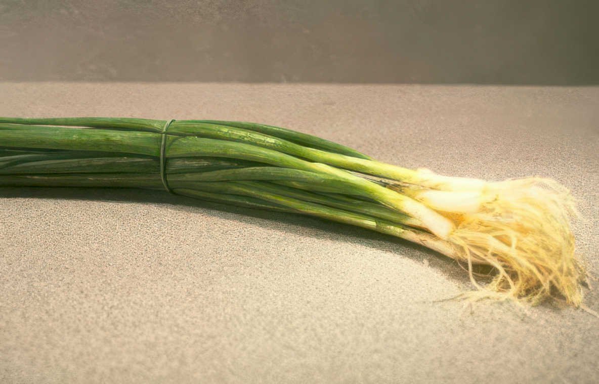 green scallions roots Vintage A4 Photo Print
