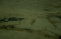 green veined marble Vintage A4 Photo Print