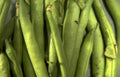 greenbeans fresh bunch Vintage A4 Photo Print