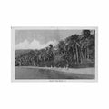 grenada grand anse beach Vintage A4 Photo Print
