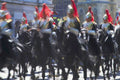 grenadier guards parade UK GB British A4 Photo Print