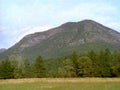 greylock landscape forest1980s 1990s A4 Photo Print