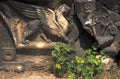 griffin relief hadrians 1980s 1990s A4 Photo Print