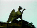 griffin stone rooftop1980s 1990s A4 Photo Print